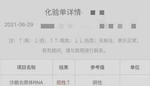 爆料下载视频违法吗,爆料引发的争议与法律解读