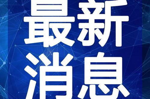 哈利礼盒爆料视频大全最新,揭秘神秘礼盒背后的惊喜与秘密