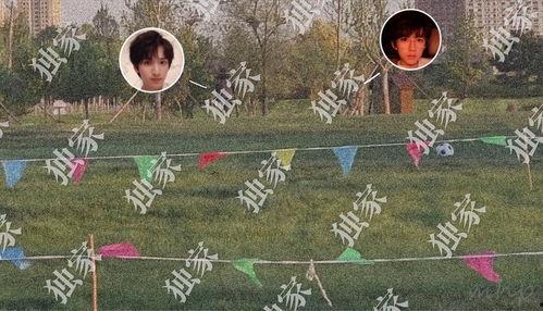 mhp最新爆料,揭秘娱乐圈最新动态与幕后真相