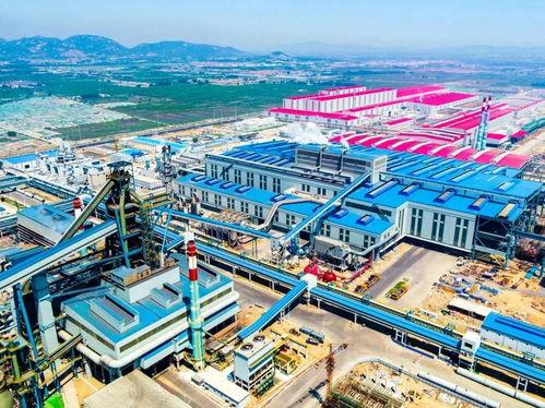 日照爆料最新消息