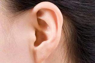 耳朵耳在线观看,探索耳朵耳在线观看的视听之旅