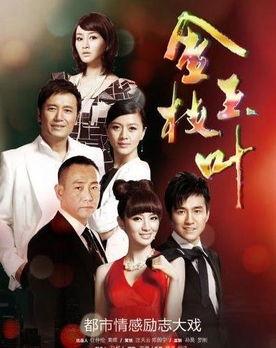 金枝玉叶电视剧在线观看,宫廷权谋与情感纠葛的华丽演绎