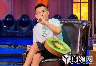 苏醒粉丝爆料事件视频,揭秘背后真相