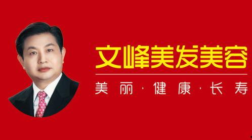 文峰集团爆料新闻报道视频,揭秘新闻报道背后的真相