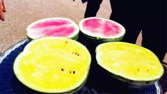 最新大瓜爆料翰林,揭秘娱乐圈幕后真相