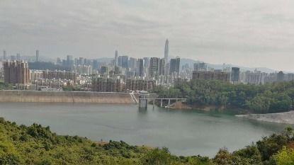 深圳龙桥最新爆料新闻,揭秘工程进展与背后故事